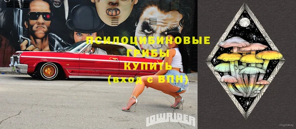 молекула духа Магас