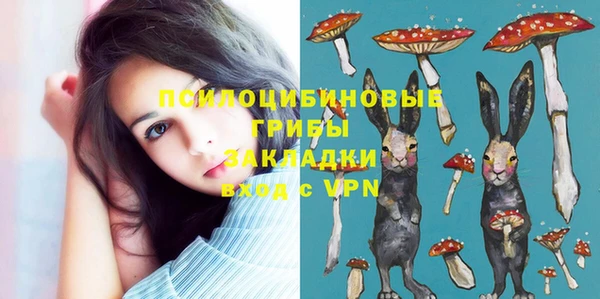молекула духа Магас