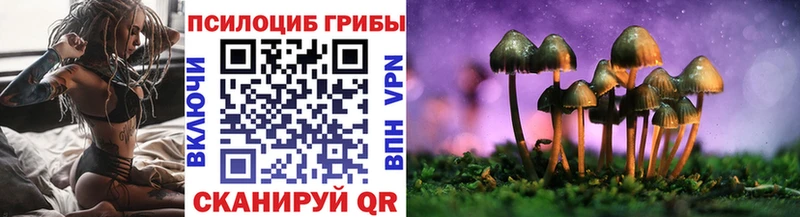 Купить где  Керчь  Псилоцибиновые грибы мухоморы 